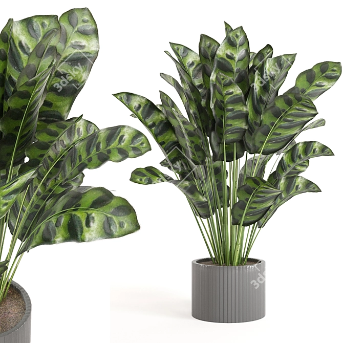 Playfully Green: Indoor Plants Collection 3D model image 1