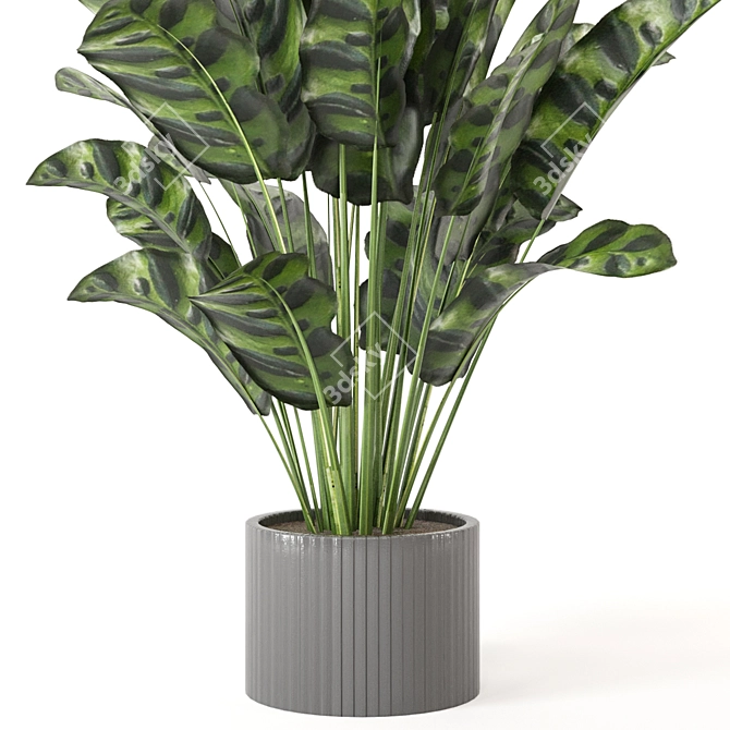 Playfully Green: Indoor Plants Collection 3D model image 2