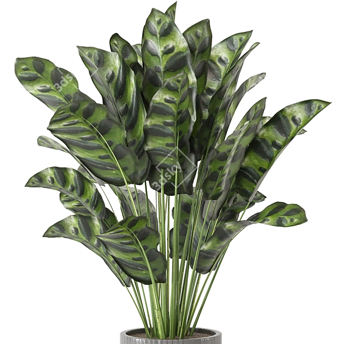 Playfully Green: Indoor Plants Collection 3D model image 3
