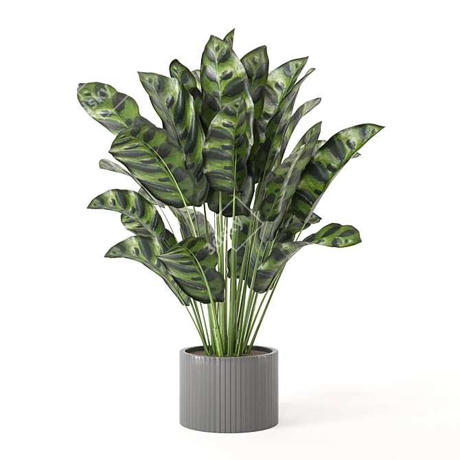 Playfully Green: Indoor Plants Collection 3D model image 5