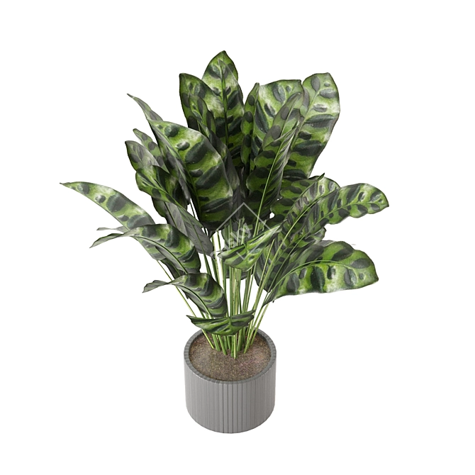 Playfully Green: Indoor Plants Collection 3D model image 6