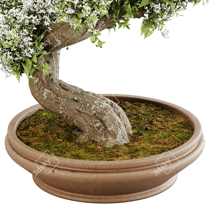  Exquisite Bonsai Tree - 2015 Edition 3D model image 3