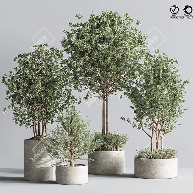 Indoor Plant Set: Greenery Delight 3D model image 1