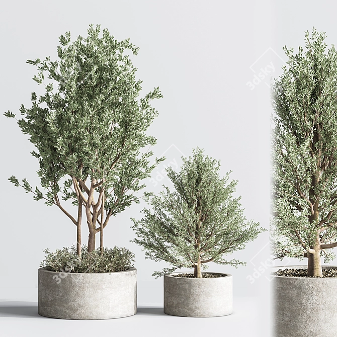 Indoor Plant Set: Greenery Delight 3D model image 3