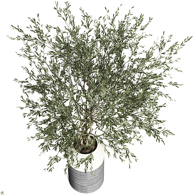 Modern Indoor Plant Collection 3D model image 3