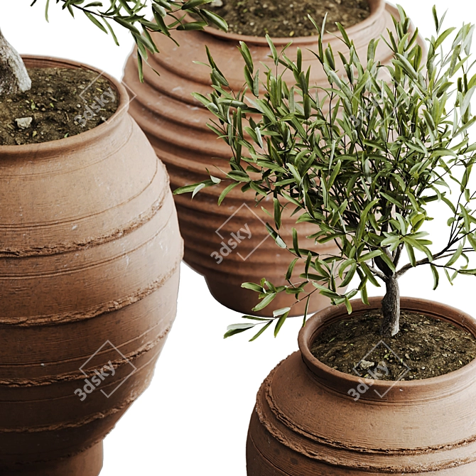 2015 Outdoor Plant Set: V-Ray, Corona, MAX 3D model image 3