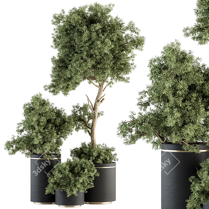 Green Oasis - Indoor Plant Set 3D model image 1