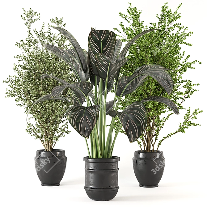 Lush Indoor Plant Set 3D model image 1