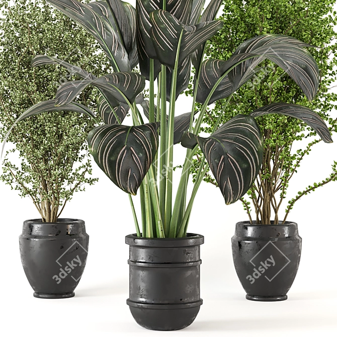 Lush Indoor Plant Set 3D model image 2