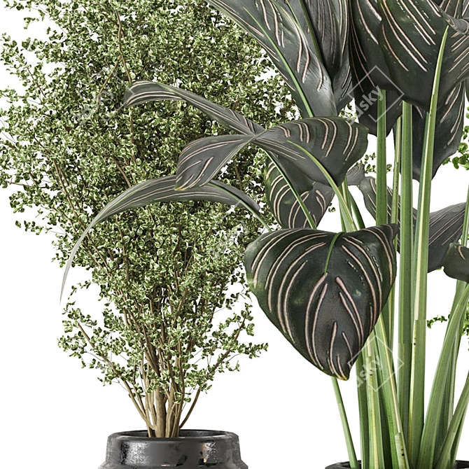Lush Indoor Plant Set 3D model image 3