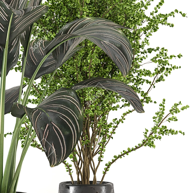 Lush Indoor Plant Set 3D model image 4