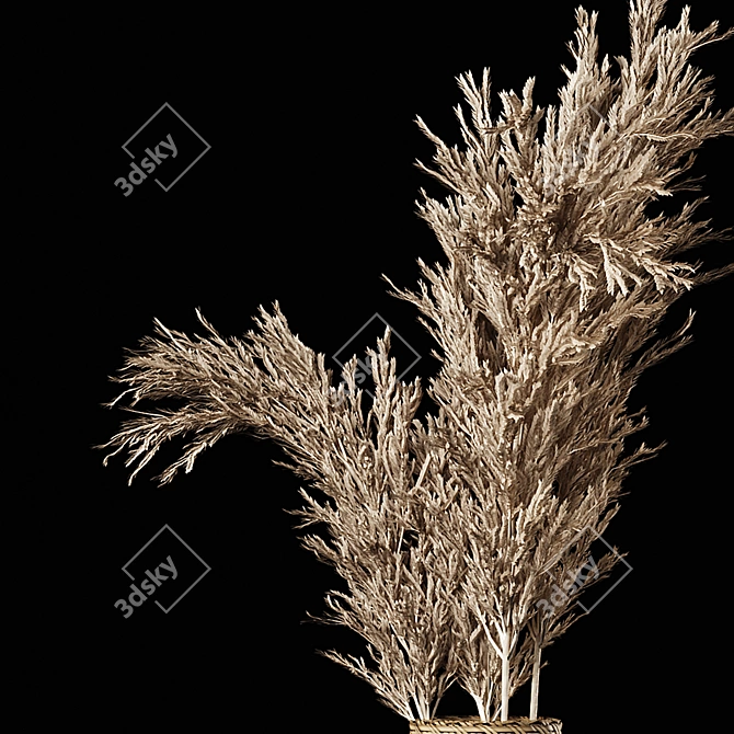 Pampas Bliss: Dried Bouquet & Rattan Vases 3D model image 5