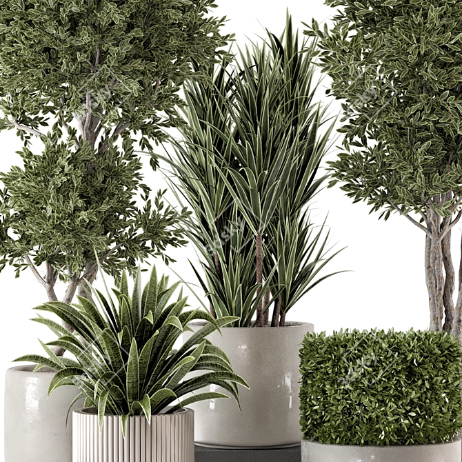 Rustic Concrete Pot Set with Indoor Plants 3D model image 2