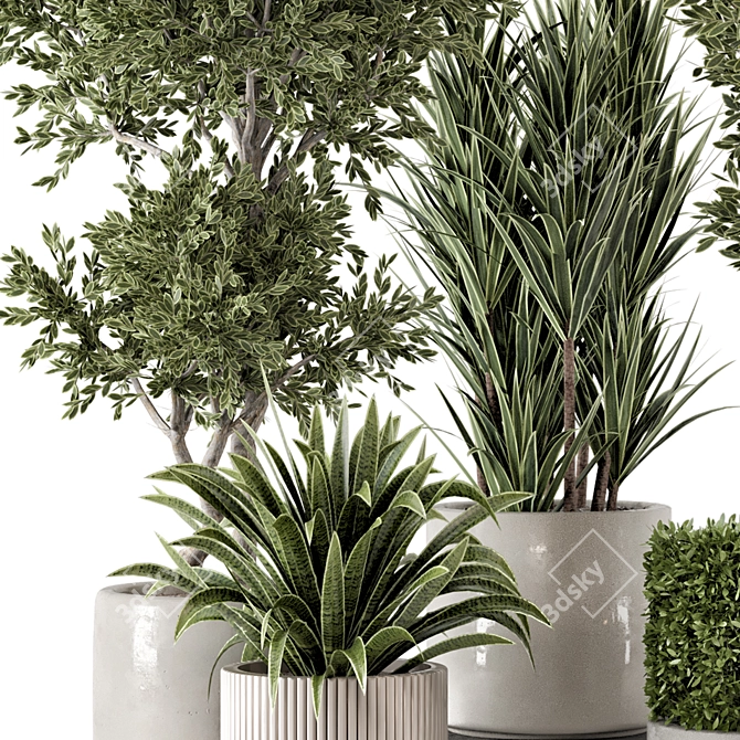 Rustic Concrete Pot Set with Indoor Plants 3D model image 3