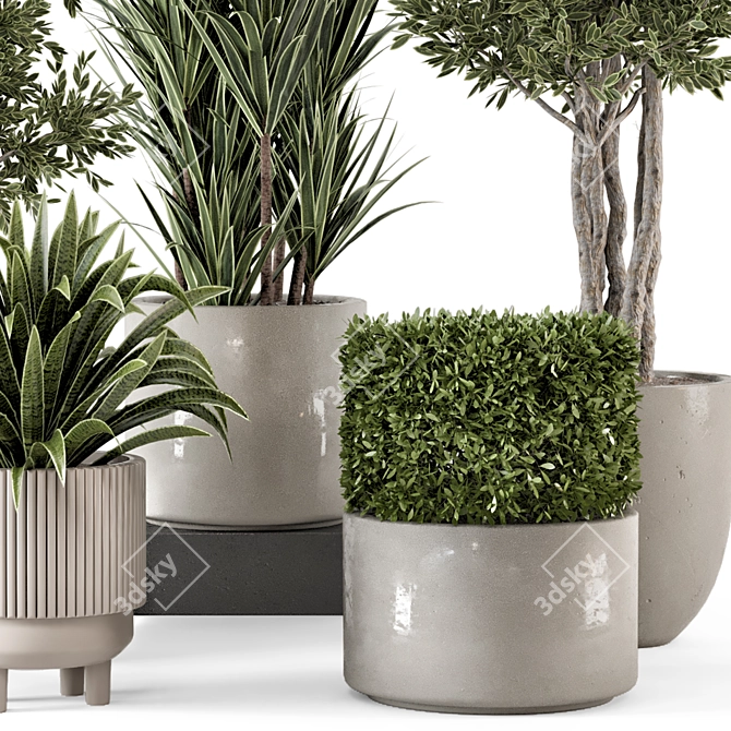 Rustic Concrete Pot Set with Indoor Plants 3D model image 4