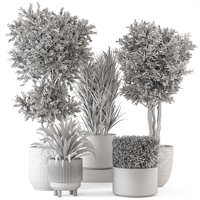 Rustic Concrete Pot Set with Indoor Plants 3D model image 7