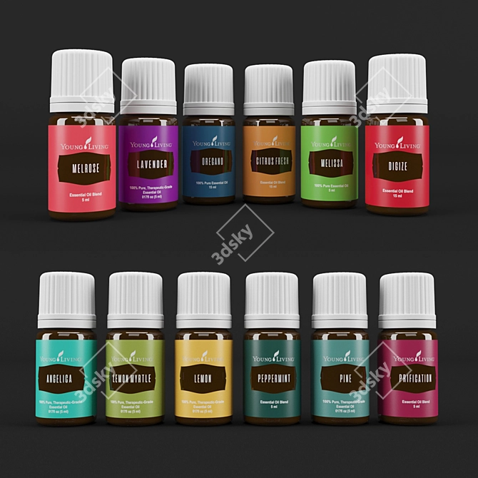 Aromatherapy Essential Oil Set 3D model image 3