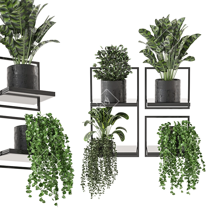 Indoor Metal Box Hanging Plants Set 3D model image 2