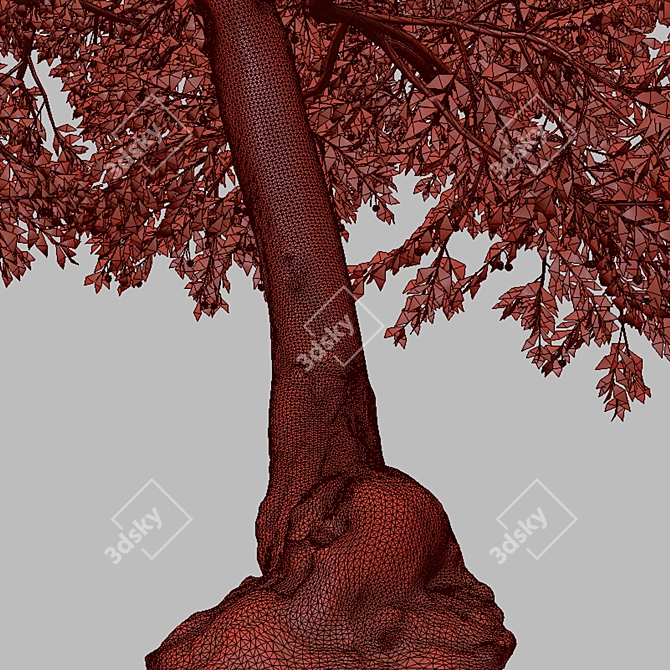 Osage Orange Tree Set (2 Trees) 3D model image 2