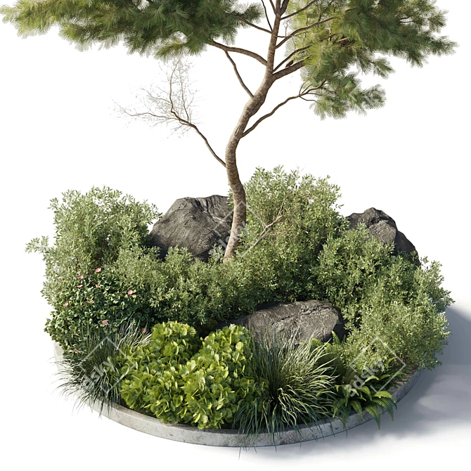 81-Pot Garden Collection: Indoor & Outdoor Plants 3D model image 3