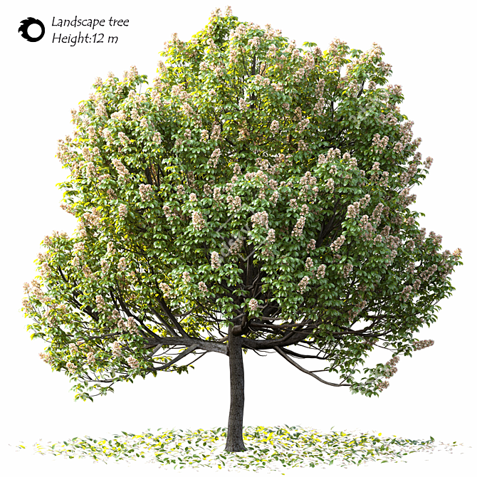 14m Landscape Tree - Realistic 3D Model 3D model image 1