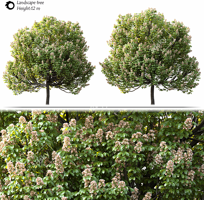 14m Landscape Tree - Realistic 3D Model 3D model image 2