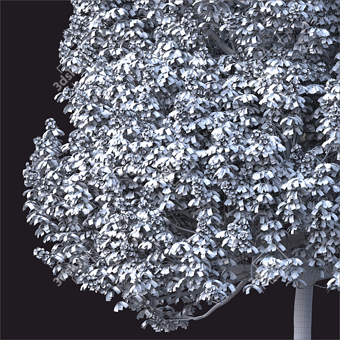 14m Landscape Tree - Realistic 3D Model 3D model image 3