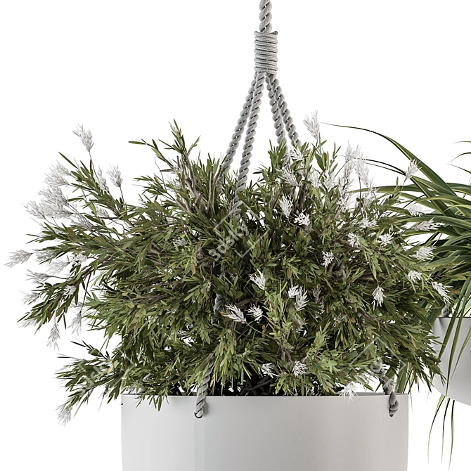 Botanical Beauties - Hanging Plant Ensemble 3D model image 2