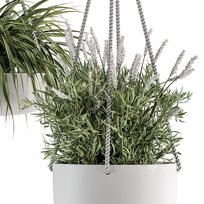 Botanical Beauties - Hanging Plant Ensemble 3D model image 3