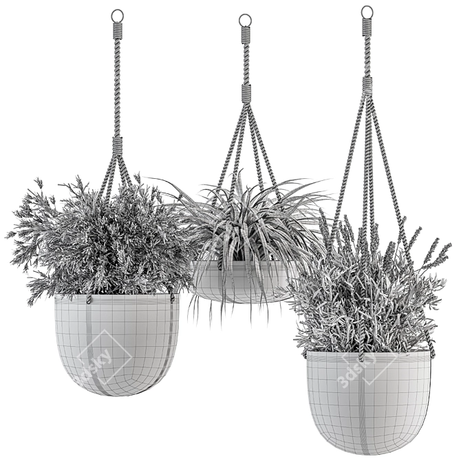 Botanical Beauties - Hanging Plant Ensemble 3D model image 4