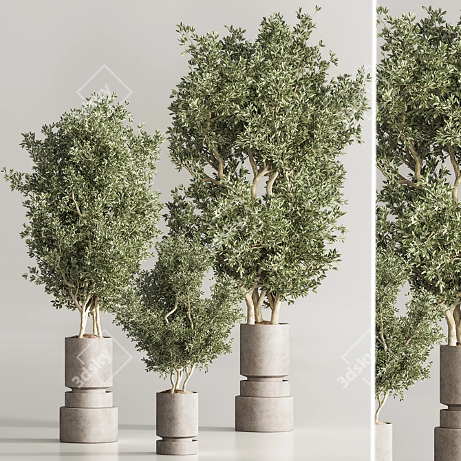  Lush Indoor Plant Set 39 3D model image 2