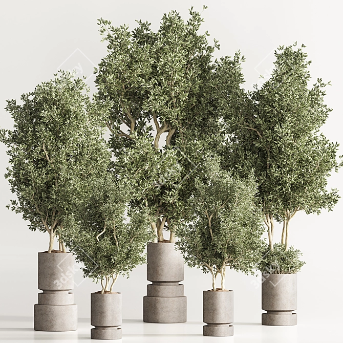  Lush Indoor Plant Set 39 3D model image 7