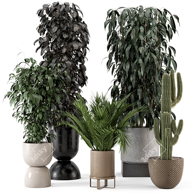 Modern Indoor Plants in Ferm Living Bau Pot Set 3D model image 1