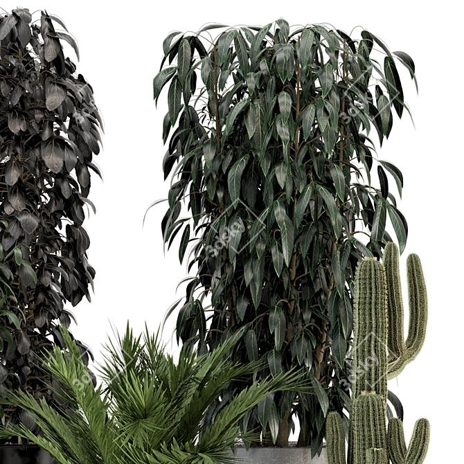 Modern Indoor Plants in Ferm Living Bau Pot Set 3D model image 2