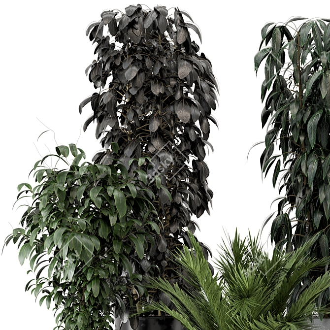 Modern Indoor Plants in Ferm Living Bau Pot Set 3D model image 3