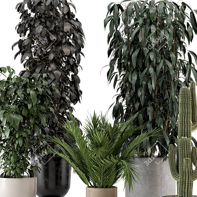 Modern Indoor Plants in Ferm Living Bau Pot Set 3D model image 6