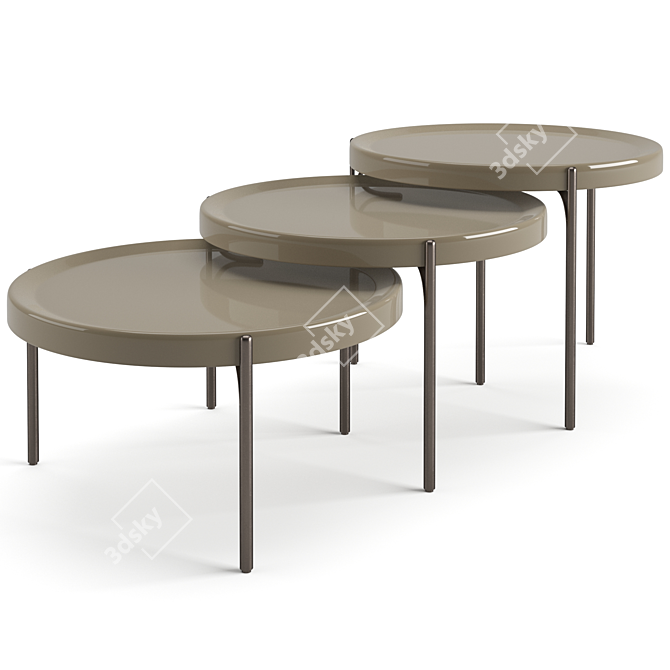 Fendi Casa Palmer Coffee Tables Set 3D model image 3