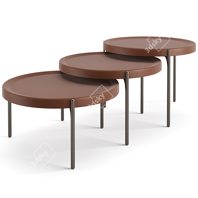 Fendi Casa Palmer Coffee Tables Set 3D model image 4