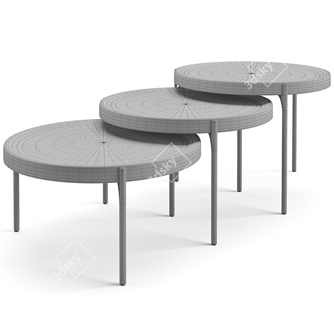 Fendi Casa Palmer Coffee Tables Set 3D model image 5