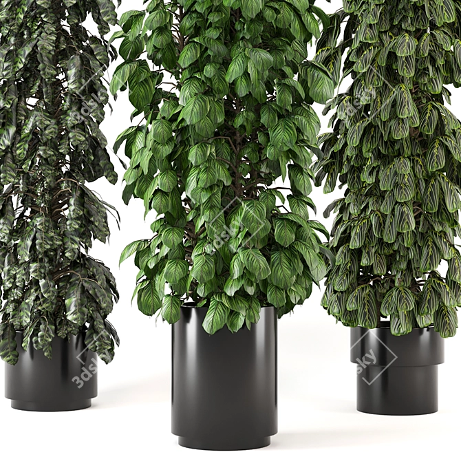 Lush Indoor Plants Set - 247 3D model image 2