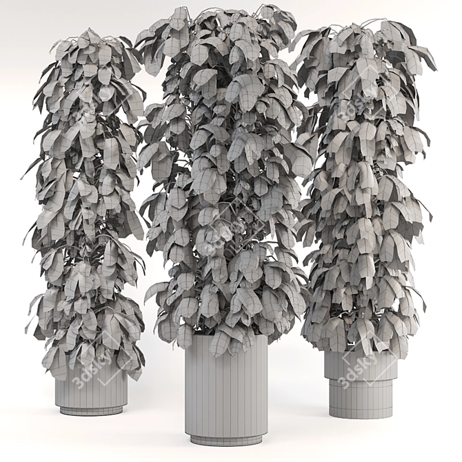 Lush Indoor Plants Set - 247 3D model image 5