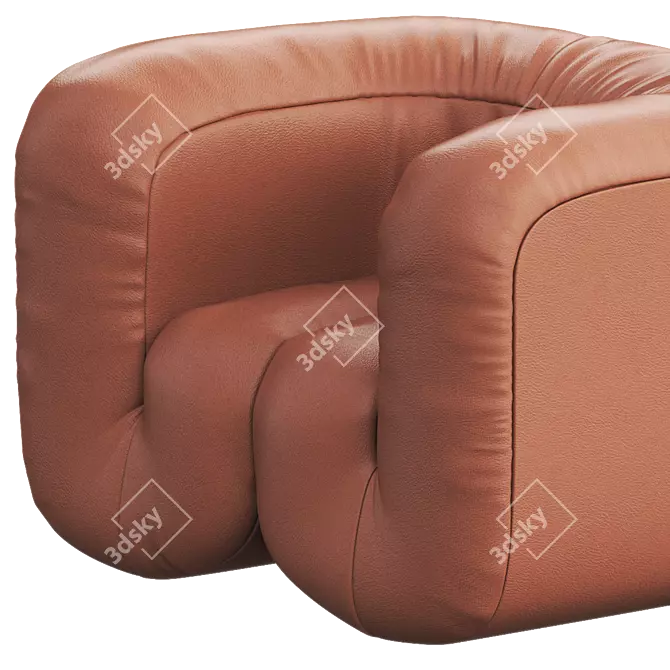 Luxury Leather Armchair: DS-707 by de Sede 3D model image 2