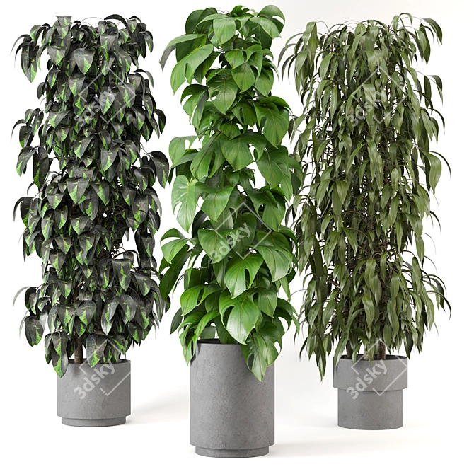 Greenery Haven - 3D Indoor Plants 3D model image 1
