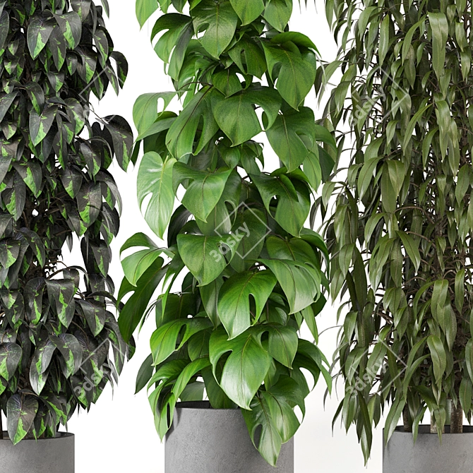Greenery Haven - 3D Indoor Plants 3D model image 3