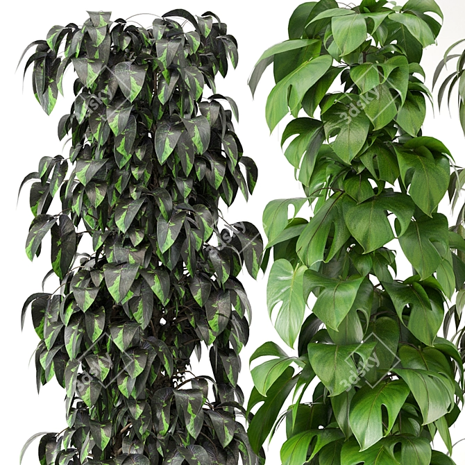 Greenery Haven - 3D Indoor Plants 3D model image 4
