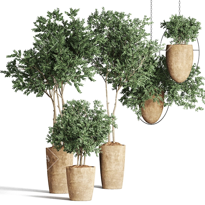 Indoor Plant Collection - 55 Varieties 3D model image 1