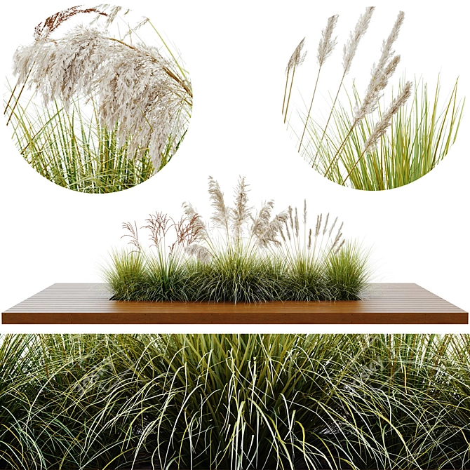 Stunning Outdoor Plant Set 3D model image 1