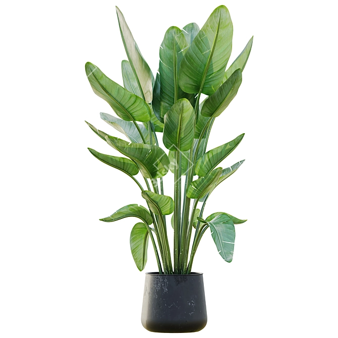 Lush Green Indoor Plant Set 3D model image 2