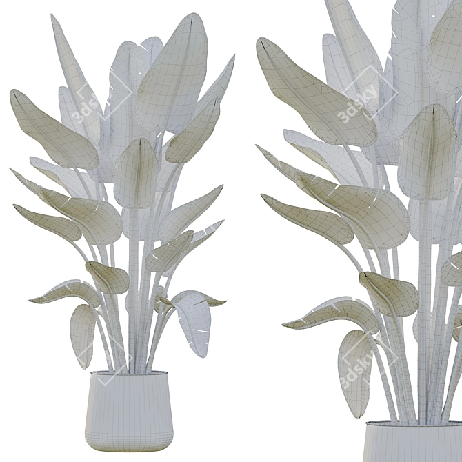 Lush Green Indoor Plant Set 3D model image 7