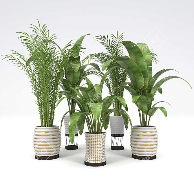 Tropical Plant Collection: Palm & Banana Trees 3D model image 1
